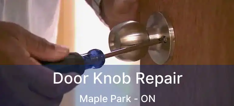 Door Knob Repair Maple Park - ON