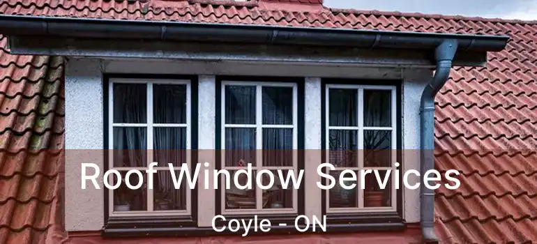  Roof Window Services Coyle - ON