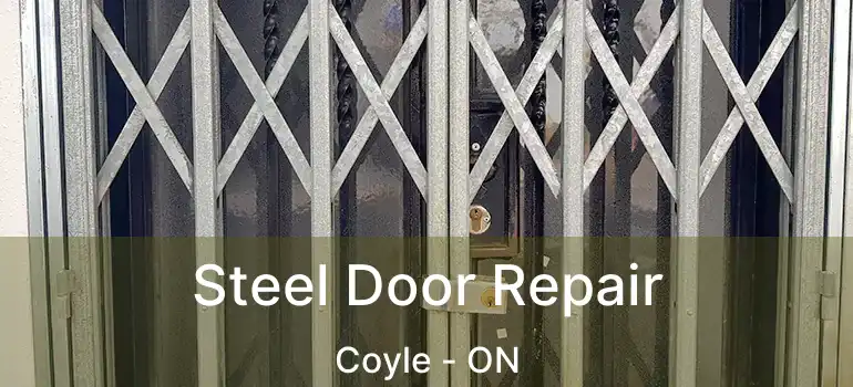 Steel Door Repair Coyle - ON
